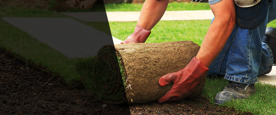 Kennewick Landscapers